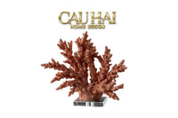 Maison Couture - Tượng San Hô Vương Miện Couronne Ashen Terra Cristalleries Coral Sculptures 34x12x30-CẬU HAI HOME DECOR