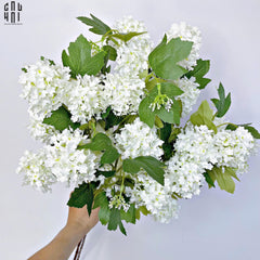 Set 2 Cành Cẩm Tú Cầu Mini - Trắng-CẬU HAI HOME DECOR