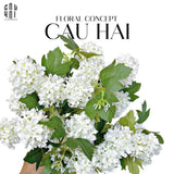 Set 2 Cành Cẩm Tú Cầu Mini - Trắng-Hoa Lụa-Đối tác tại Trung Quốc theo từng đơn đặt hàng-CẬU HAI HOME DECOR