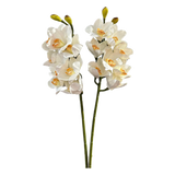Set 2 Cành Địa Lan Cymbidium-Cành hoa trang trí-CẬU HAI HOME DECOR-CẬU HAI HOME DECOR