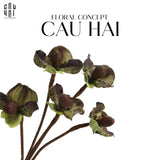 Set 2 Cành Địa Lan Paphiopedilum - Violet Plum-Hoa Lụa-Đối tác tại Trung Quốc theo từng đơn đặt hàng-CẬU HAI HOME DECOR