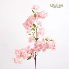 Set 2 Cành Hoa Anh Đào - Brush Pink Sakura-CẬU HAI HOME DECOR