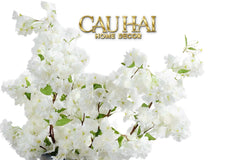 Set 2 Cành Hoa Anh Đào Trắng - White Sakura-CẬU HAI HOME DECOR