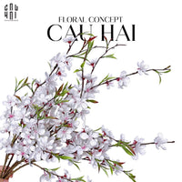 Set 2 Cành Hoa Đào - Trắng-CẬU HAI HOME DECOR