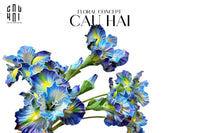 Set 2 Cành Hoa Diên Vĩ - Blue Ara-CẬU HAI HOME DECOR