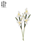 SET 2 CÀNH HOA DIÊN VĨ - IRIS - TRẮNG-CẬU HAI HOME DECOR