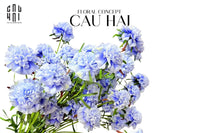 Set 2 Cành Hoa Đông Trùng Hạ Thảo - Sky Blue-CẬU HAI HOME DECOR