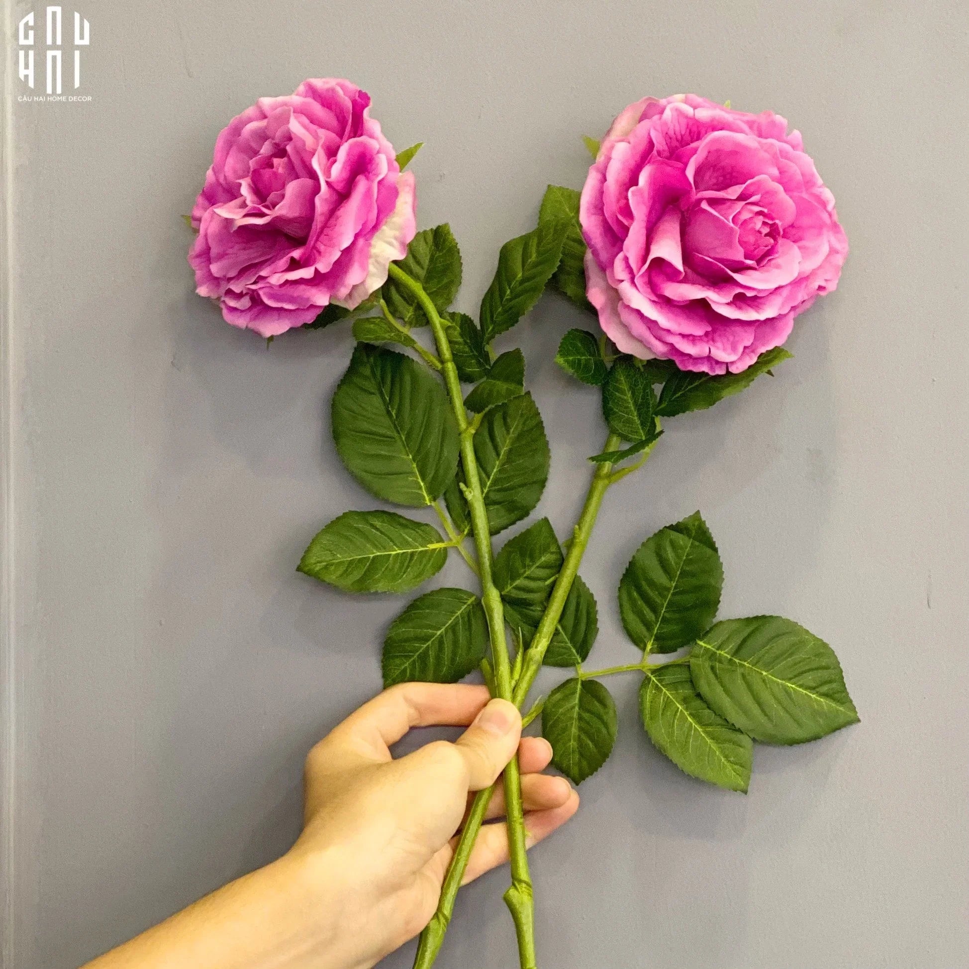 SET 2 CÀNH HOA HỒNG ECUADOR - TÍM HỒNG - CẬU HAI HOME DECOR