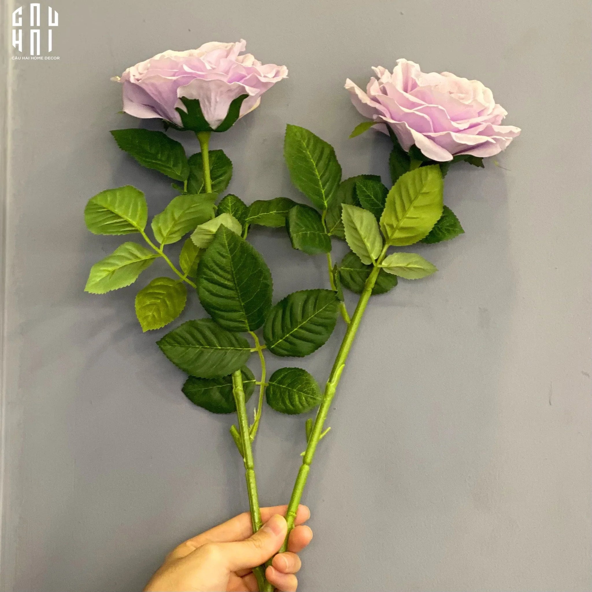 SET 2 CÀNH HOA HỒNG ECUADOR - TÍM NHẠT - CẬU HAI HOME DECOR