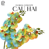 Set 2 Cành Hoa Lan Hồ Điệp - Citrus Turquoise-Hoa Lụa-Đối tác tại Trung Quốc theo từng đơn đặt hàng-CẬU HAI HOME DECOR