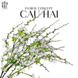 SET 2 CÀNH HOA MẬN-CẬU HAI HOME DECOR