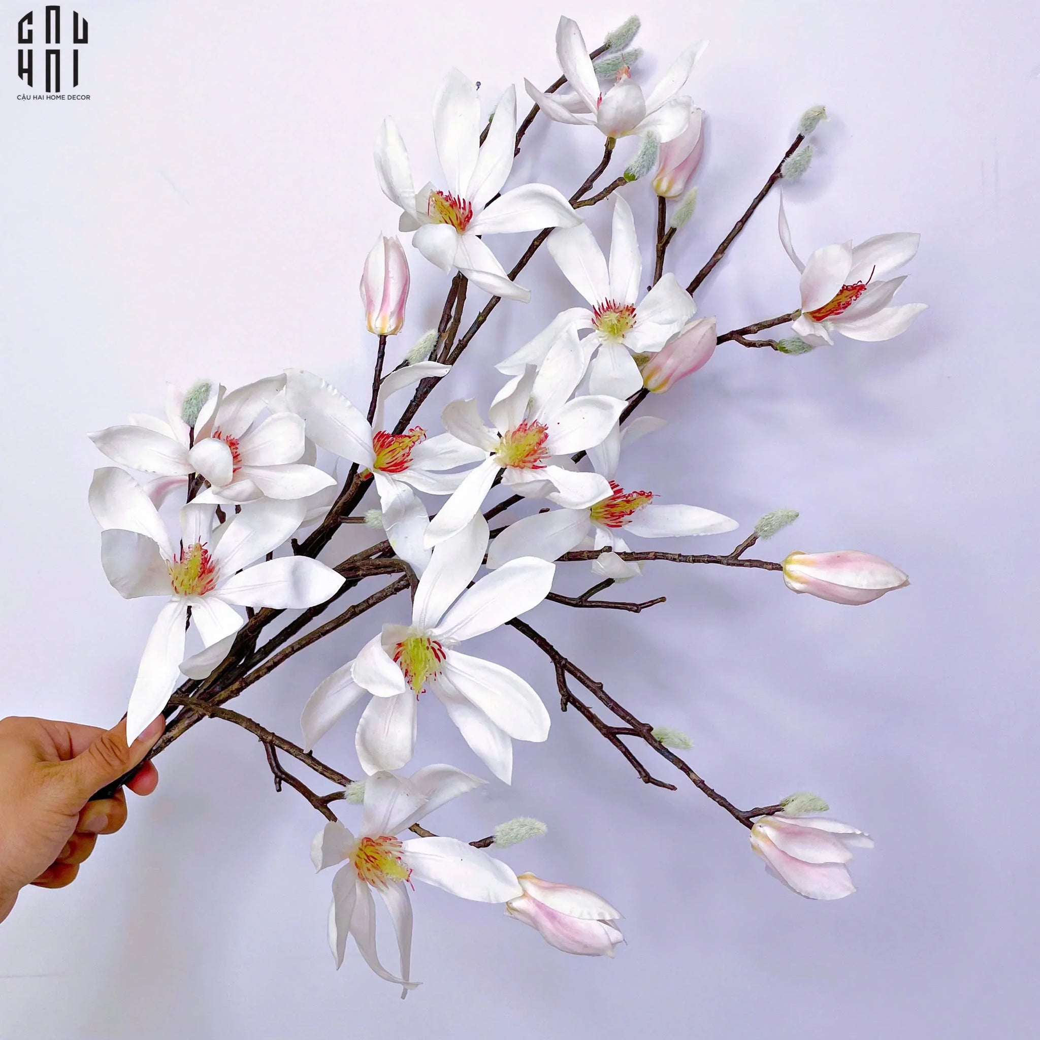 SET 2 CÀNH HOA MỘC LAN - MAGNOLIA FRASERI-CẬU HAI HOME DECOR
