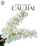 SET 2 CÀNH HOA PHI YẾN - DELPHINIUM - TRẮNG-CẬU HAI HOME DECOR