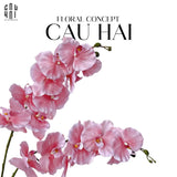 SET 2 CÀNH LAN HỒ ĐIỆP CÁNH XOĂN - HỒNG-CẬU HAI HOME DECOR