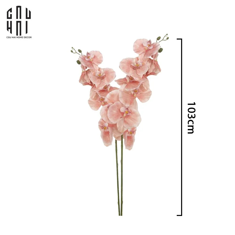 SET 2 CÀNH LAN HỒ ĐIỆP CÁNH XOĂN - HỒNG-CẬU HAI HOME DECOR