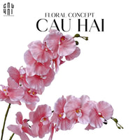 Set 2 Cành Lan Hồ Điệp Cánh Xoăn - Hồng-CẬU HAI HOME DECOR