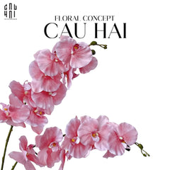 Set 2 Cành Lan Hồ Điệp Cánh Xoăn - Hồng-CẬU HAI HOME DECOR