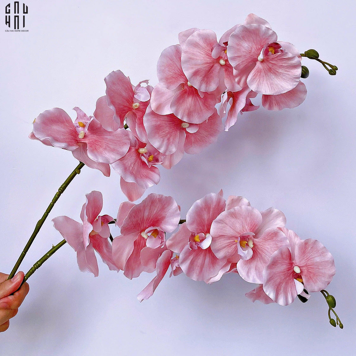 Set 2 Cành Lan Hồ Điệp Cánh Xoăn - Hồng-Hoa Lụa-Đối tác tại Trung Quốc theo từng đơn đặt hàng-CẬU HAI HOME DECOR