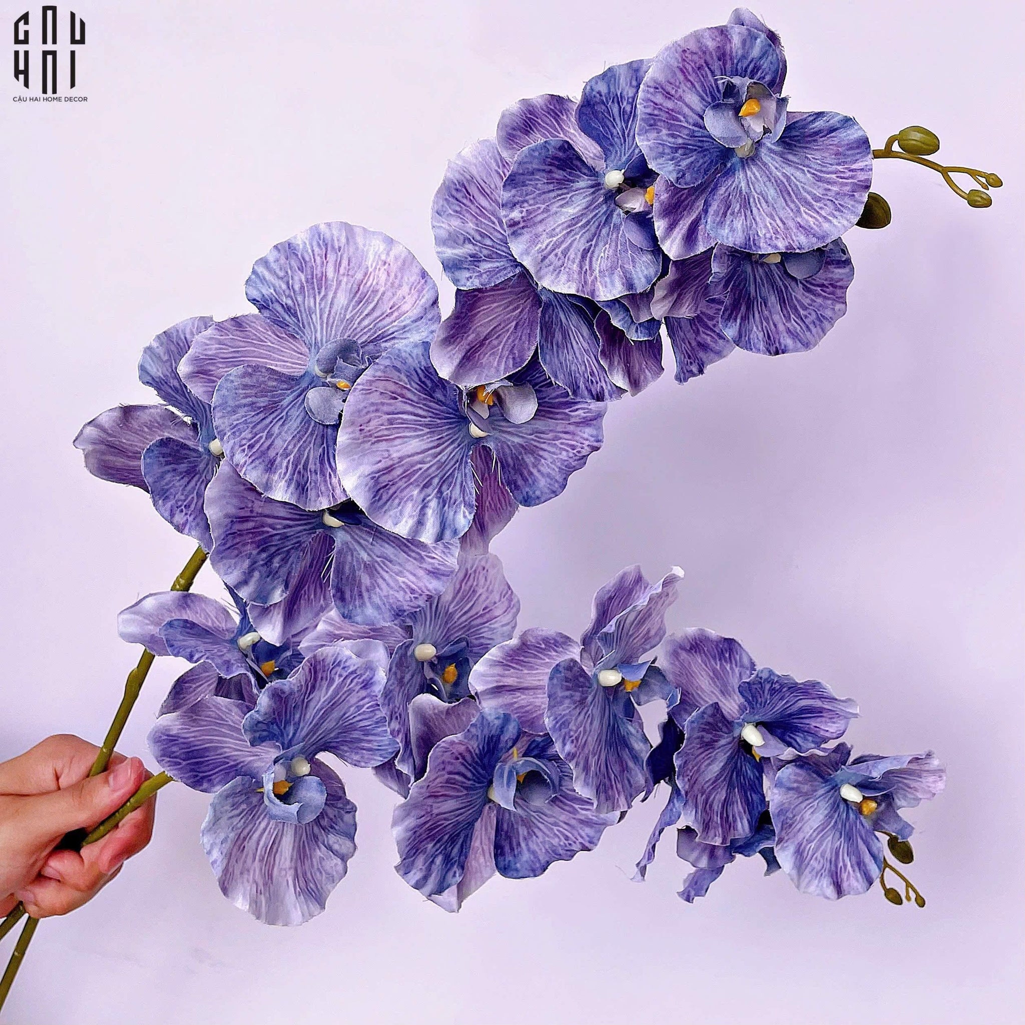 SET 2 CÀNH LAN HỒ ĐIỆP CÁNH XOĂN - XANH TÍM - CẬU HAI HOME DECOR