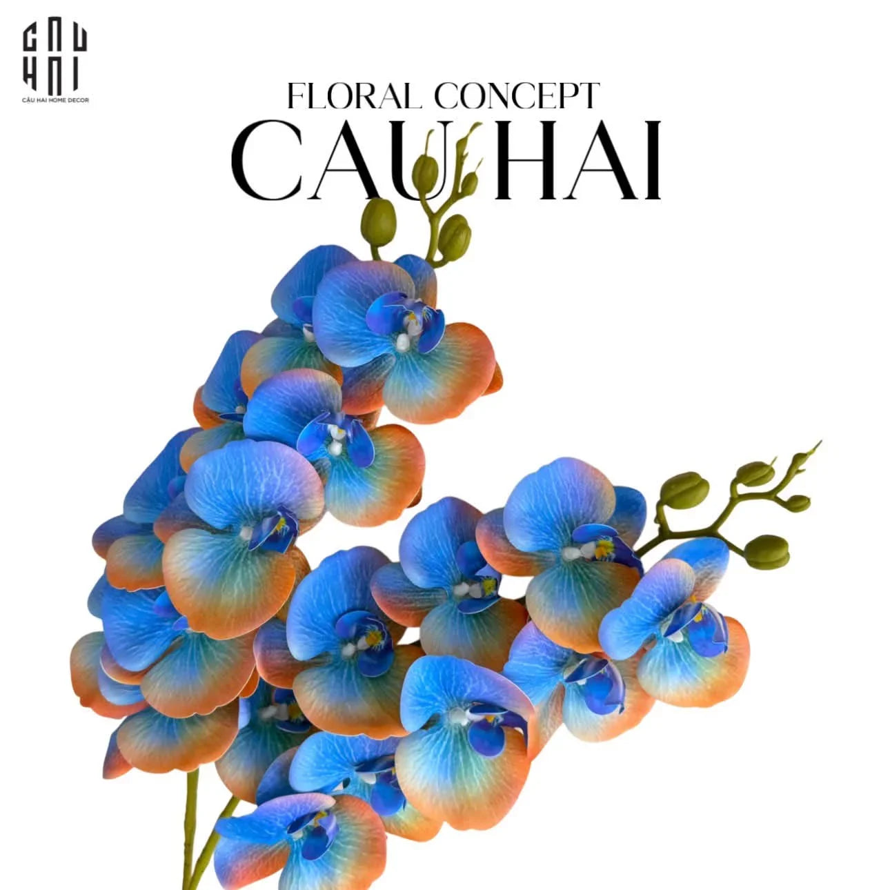 SET 2 CÀNH LAN HỒ ĐIỆP - ROYAL BLUE MANDARIN - CẬU HAI HOME DECOR