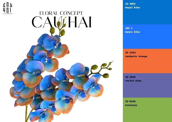 Set 2 Cành Lan Hồ Điệp - Royal Blue Mandarin-CẬU HAI HOME DECOR