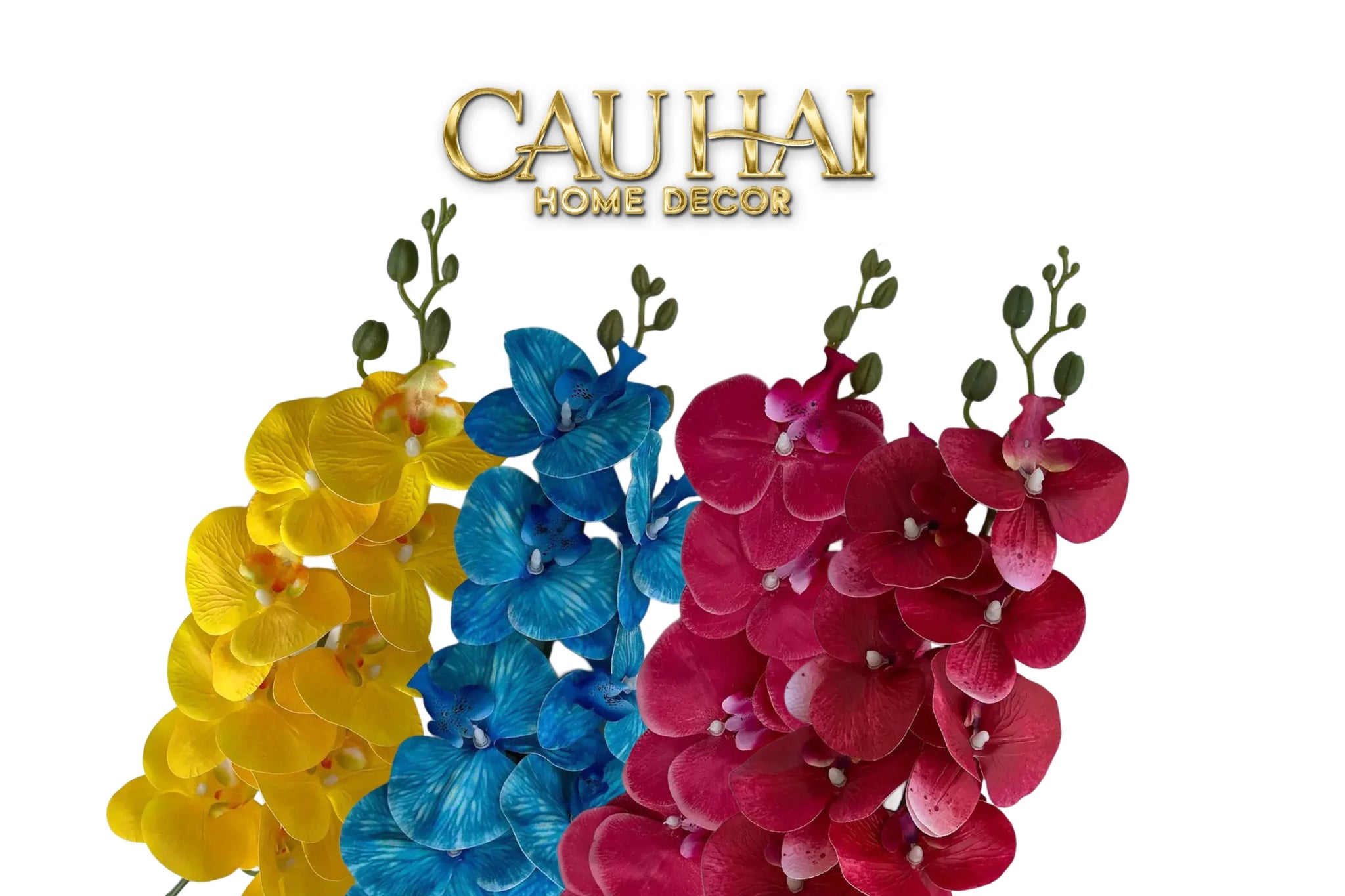 Set 2 Cành Lan Hồ Điệp Royal Phalaenopsis Orchid-CẬU HAI HOME DECOR