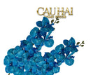 Set 2 Cành Lan Hồ Điệp Royal Phalaenopsis Orchid-Hoa Lụa-CẬU HAI HOME DECOR-Deepsea-CẬU HAI HOME DECOR