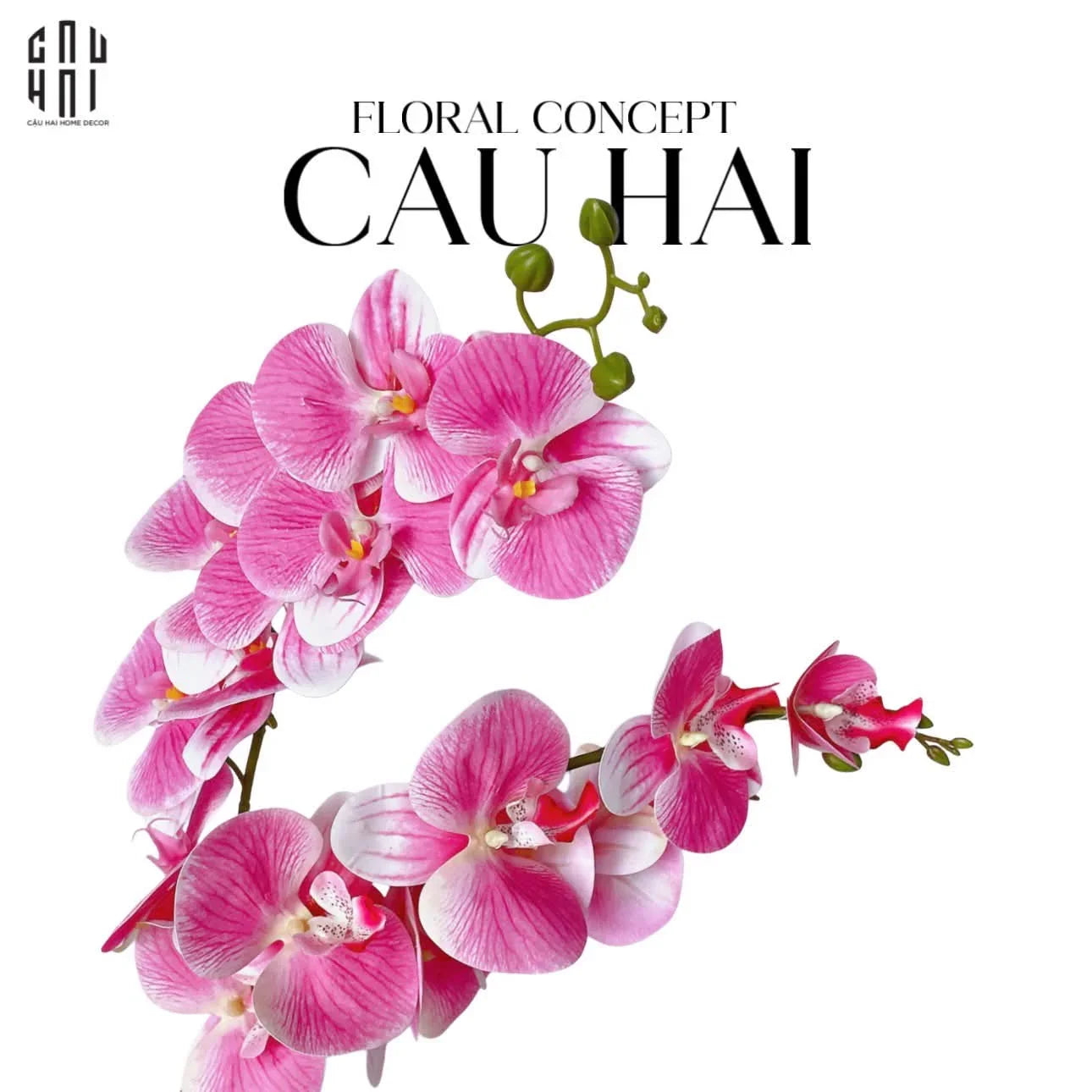 SET 2 CÀNH LAN HỒ ĐIỆP - WHITE PINK - CẬU HAI HOME DECOR