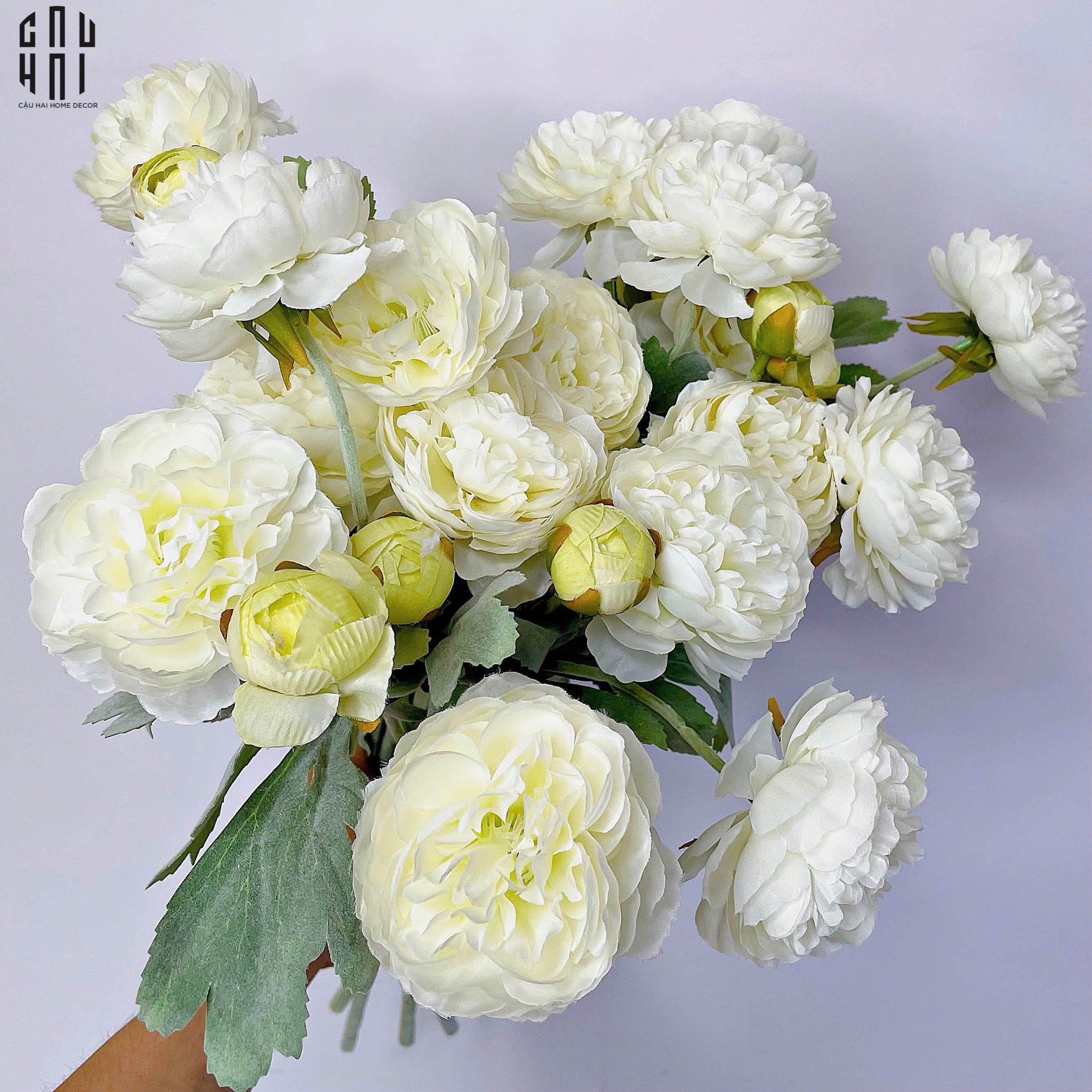SET 2 CÀNH MAO LƯƠNG RANUNCULUS - TRẮNG - CẬU HAI HOME DECOR