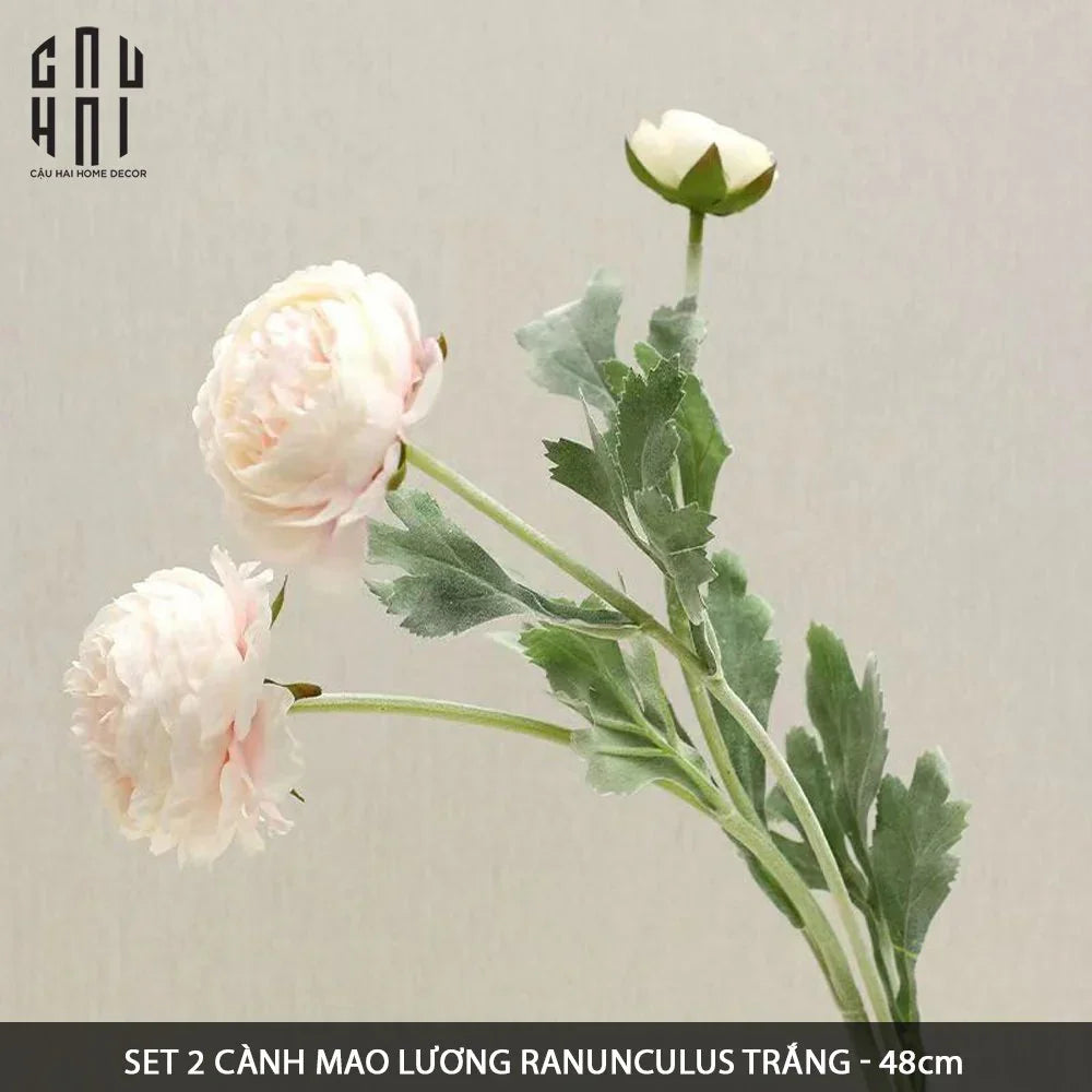 SET 2 CÀNH MAO LƯƠNG RANUNCULUS - TRẮNG - CẬU HAI HOME DECOR