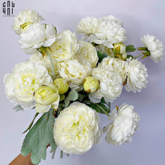Set 2 Cành Mao Lương Ranunculus - Trắng-CẬU HAI HOME DECOR