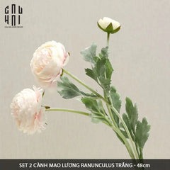 Set 2 Cành Mao Lương Ranunculus - Trắng-CẬU HAI HOME DECOR