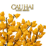 Set 2 Cành Trái Dư – Dried Berry Branches-Cành Khô Trang Trí-Cậu Hai Home Decor-CẬU HAI HOME DECOR