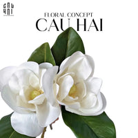Set 2 Hoa Mộc Lan Trắng - Magnolia Grandiflora-CẬU HAI HOME DECOR