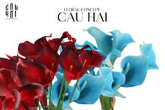 Set 5 Cành Calla Lily Flame / Sky Blue-CẬU HAI HOME DECOR