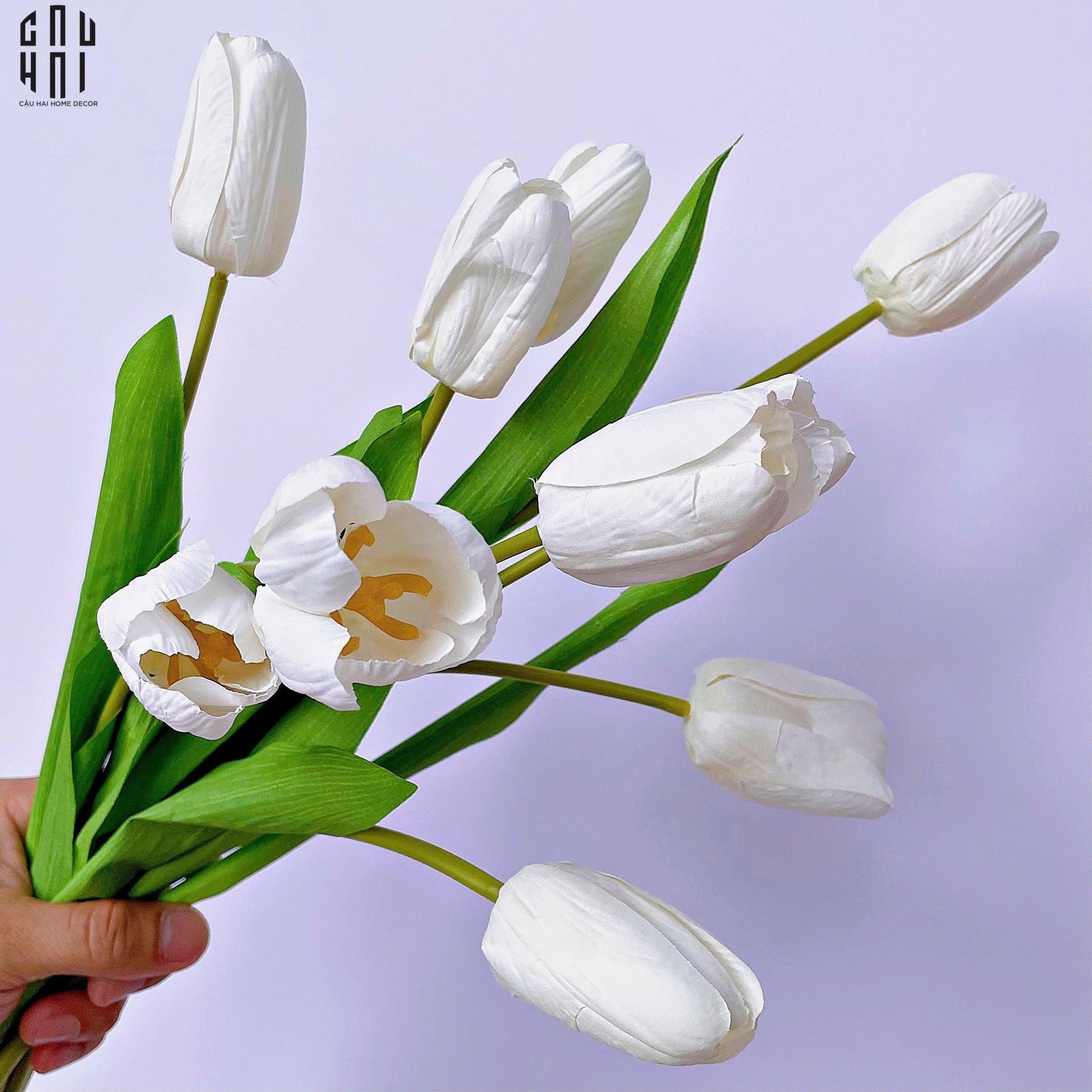 SET 5 CÀNH HOA TULIP TRẮNG 46CM-CẬU HAI HOME DECOR
