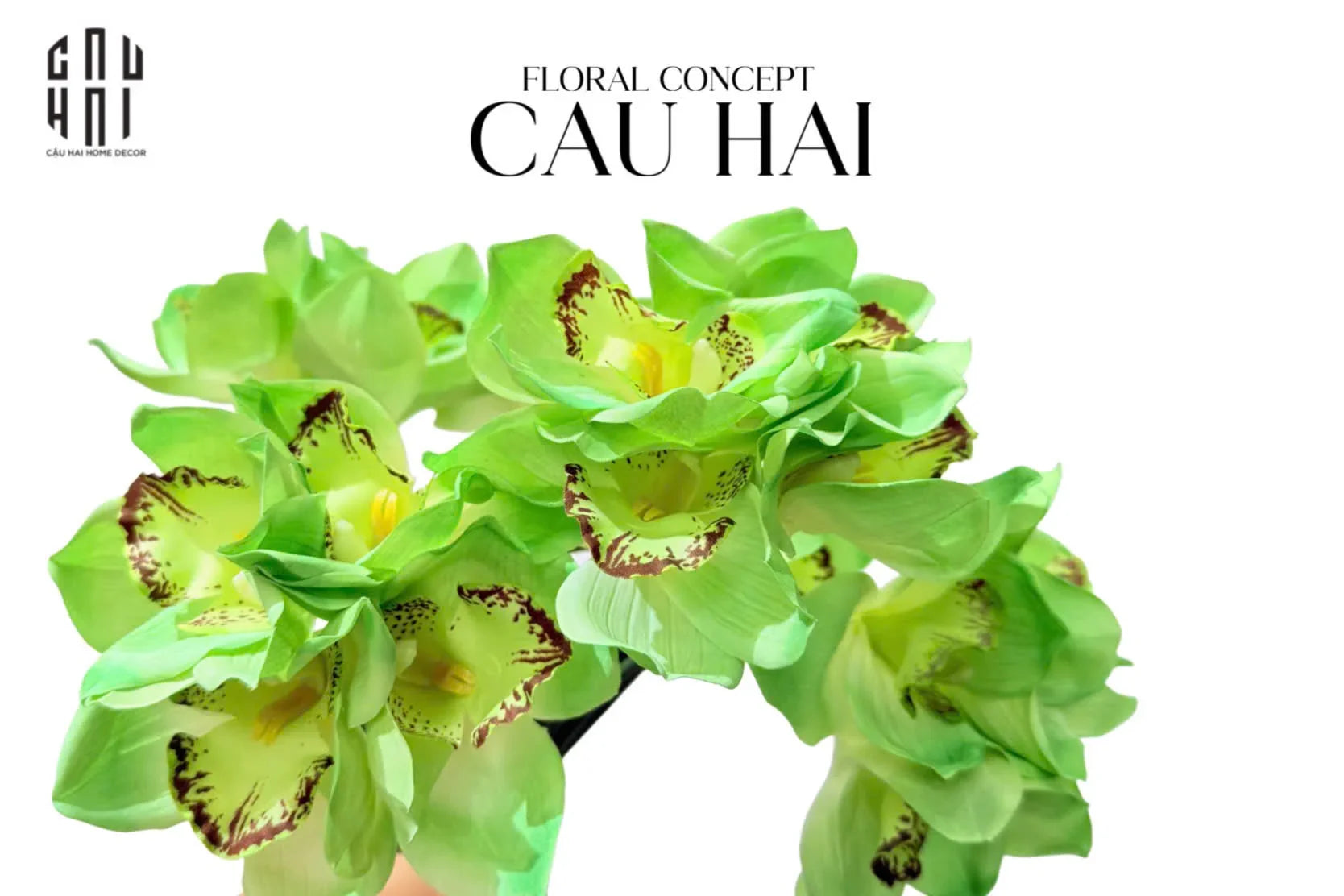 Set 5 Hoa Địa Lan - Kelly Green-CẬU HAI HOME DECOR