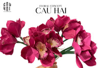 Set 5 Hoa Địa Lan - Magenta-CẬU HAI HOME DECOR
