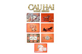 Set 7 Tấm Lót 30x45 - Cheval-TẤM LÓT BÀN ĂN-CẬU HAI HOME DECOR-CẬU HAI HOME DECOR
