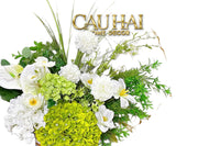 Set Hoa Greeny Garden-CẬU HAI HOME DECOR
