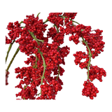 Tết Couture - Set 2 Cành Đào Đông Petite Grappe Rouge D’Hiver
