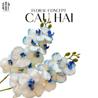 Tết Couture - Set 2 Cành Hoa Lan Hồ Điệp - Snow White-CẬU HAI HOME DECOR