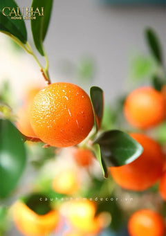 Tết Couture - Set 2 Cành Quả Quýt Tangerines Ember/Amber-CẬU HAI HOME DECOR