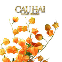 Tết Couture - Set 2 Cành Trái Tầm Bóp Physalis Amberfruit 85cm-CẬU HAI HOME DECOR