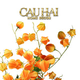 Tết Couture - Set 2 Cành Trái Tầm Bóp Physalis Amberfruit 85cm-Hoa Lụa-CẬU HAI HOME DECOR-CẬU HAI HOME DECOR
