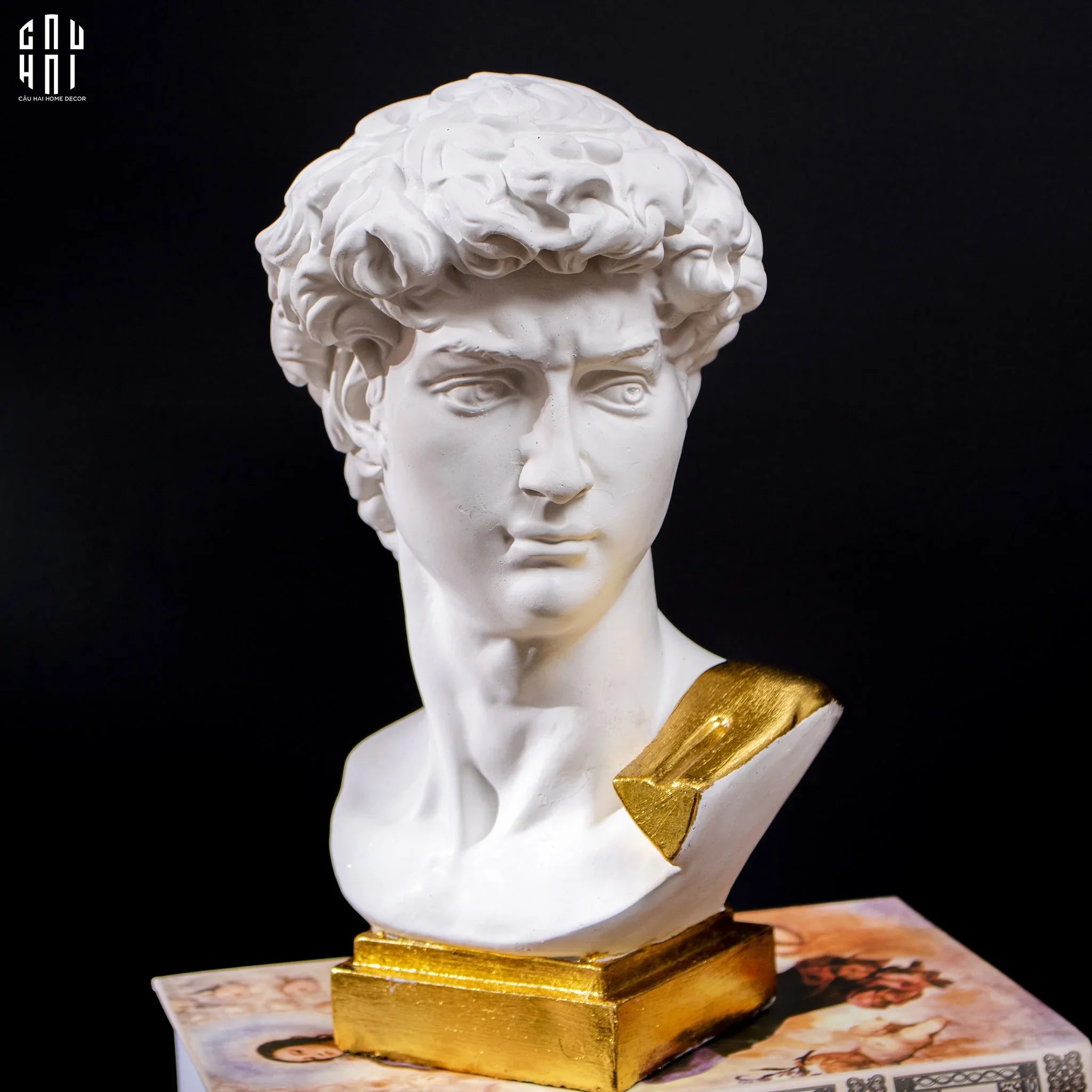 Tượng David Dát Vàng 24K Premium Ss25-CẬU HAI HOME DECOR