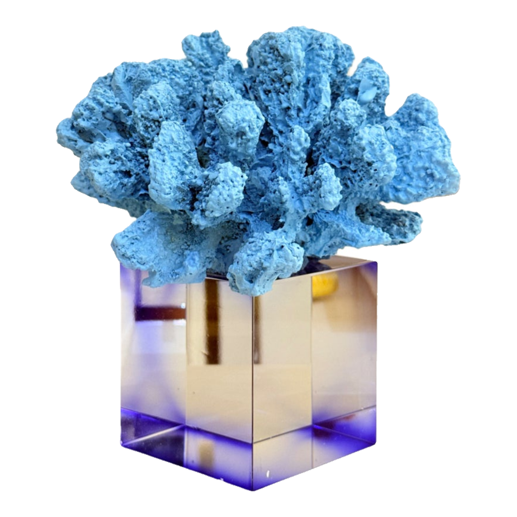 Tượng San Hô Đại Dương Blue Cristalleries Nautical Azure Coral Sculptures 15x20-TƯỢNG TRANG TRÍ-CẬU HAI HOME DECOR-CẬU HAI HOME DECOR