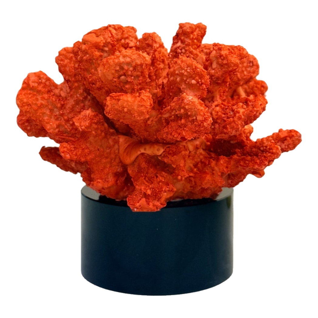 Tượng San Hô Lửa Đế Pha Lê Crimson Cristalleries Coral Sculptures 15x20-TƯỢNG TRANG TRÍ-CẬU HAI HOME DECOR-CẬU HAI HOME DECOR