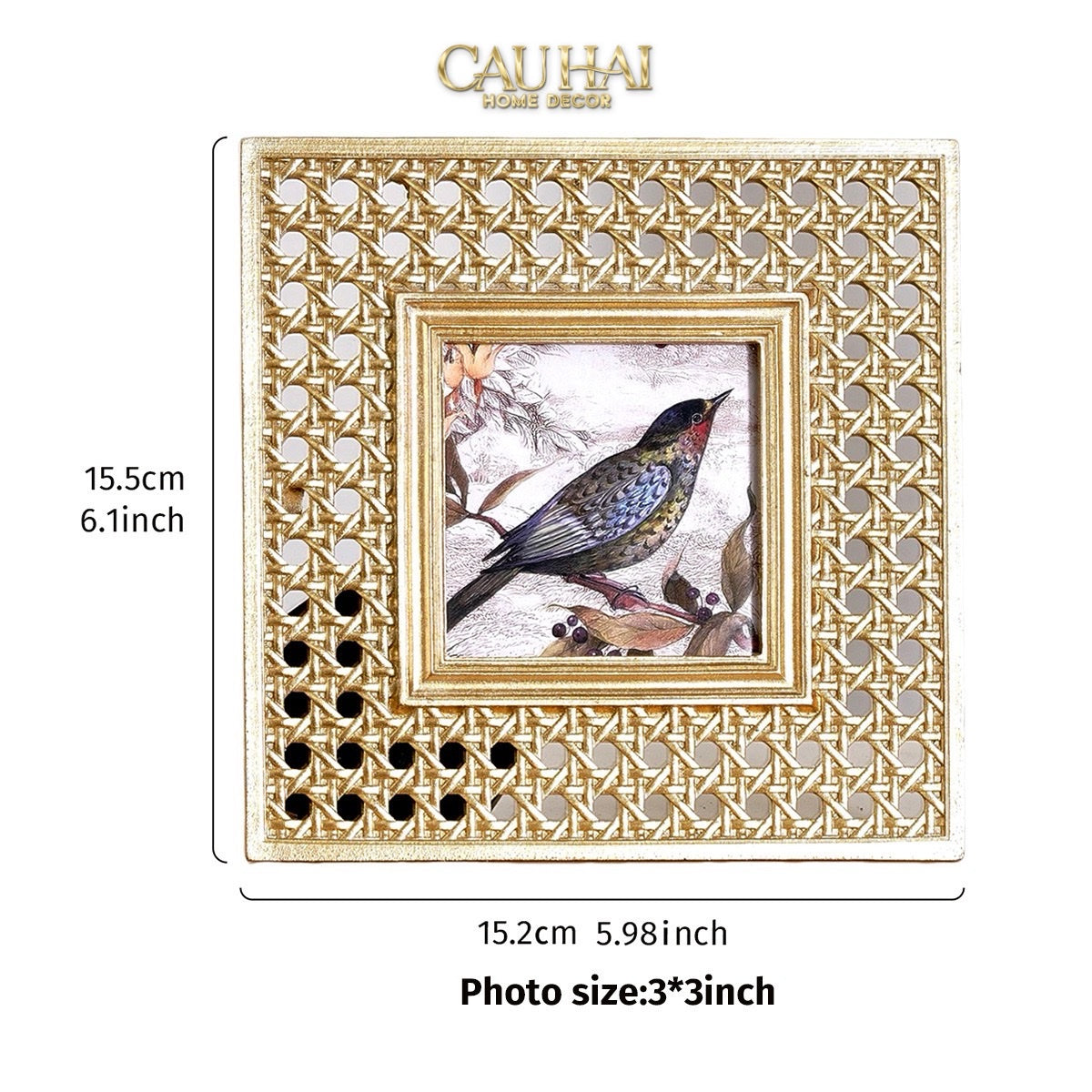 KHUNG ẢNH GOLDEN CANNAGE CANARI 15X15 - CẬU HAI HOME DECOR