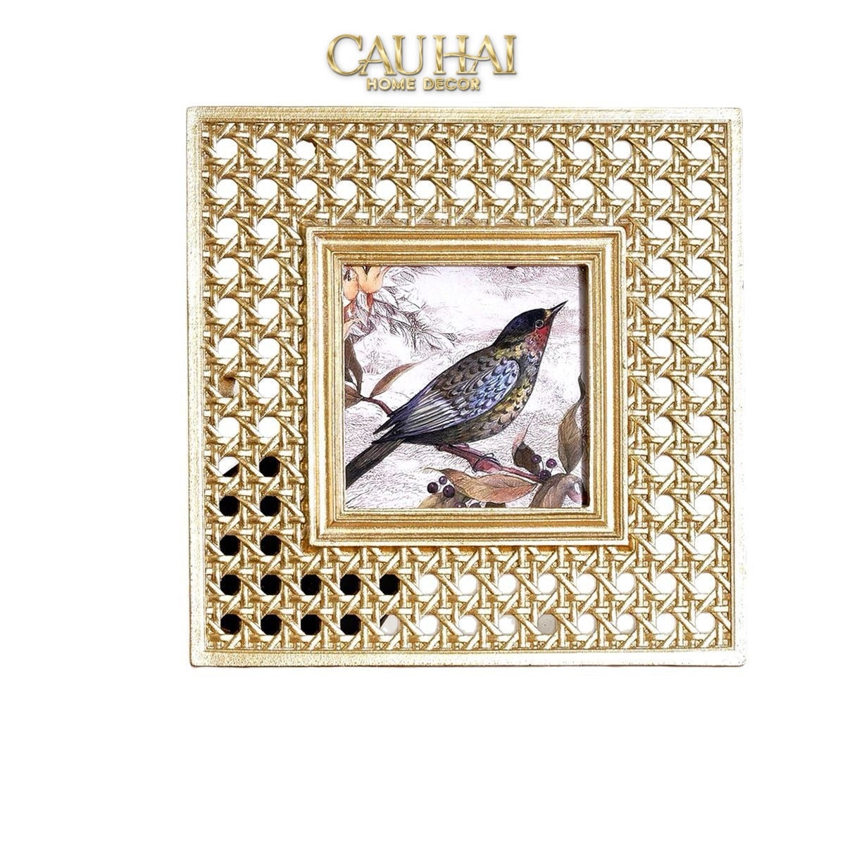 KHUNG ẢNH GOLDEN CANNAGE CANARI 15X15 - CẬU HAI HOME DECOR